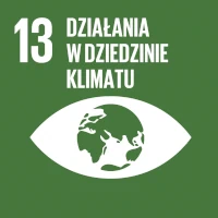icon sustainable development 13