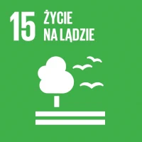 icon sustainable development 15